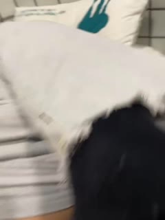 在线观看成年视频无码,亚洲成色www久久网站夜月