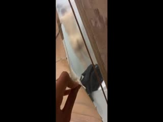国产超碰人人爱被IOS解锁,中文字幕完无码整视频