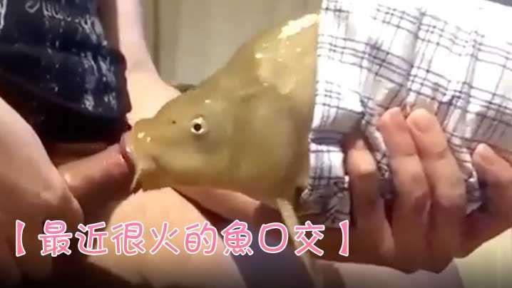 国产高清视频一区二区三区四区
